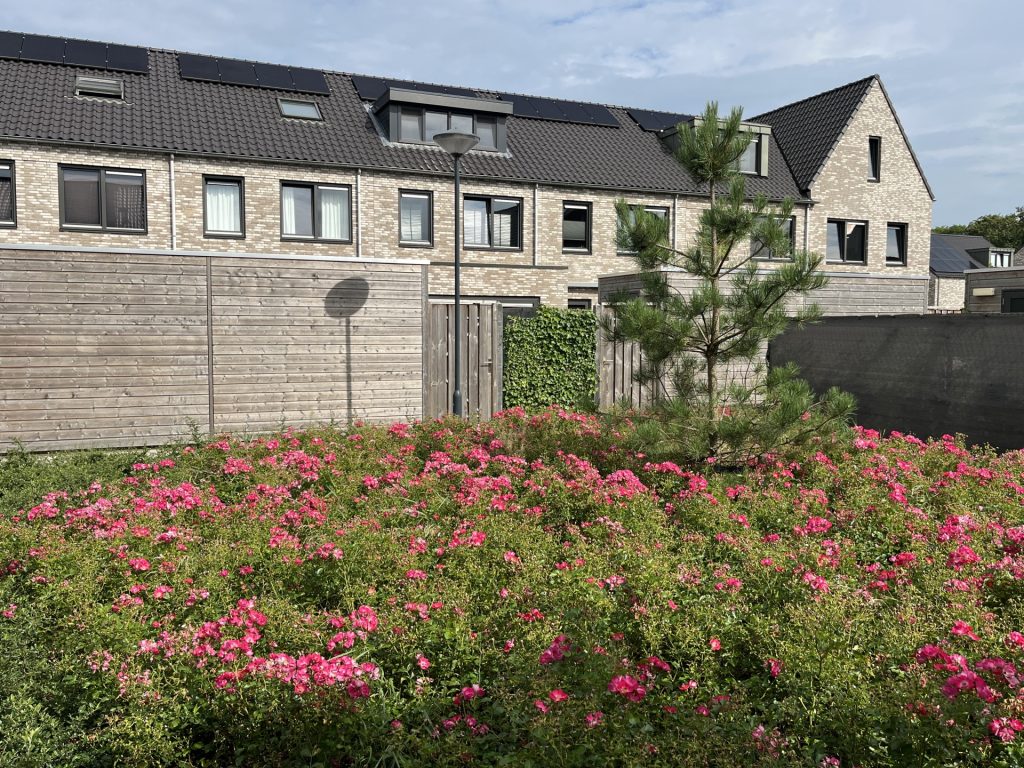 natuurinclusieve tuin en ontdekkingsspeeltuin 87 woningen Venster van Made Van der Heijden bouw en ontwikkeing